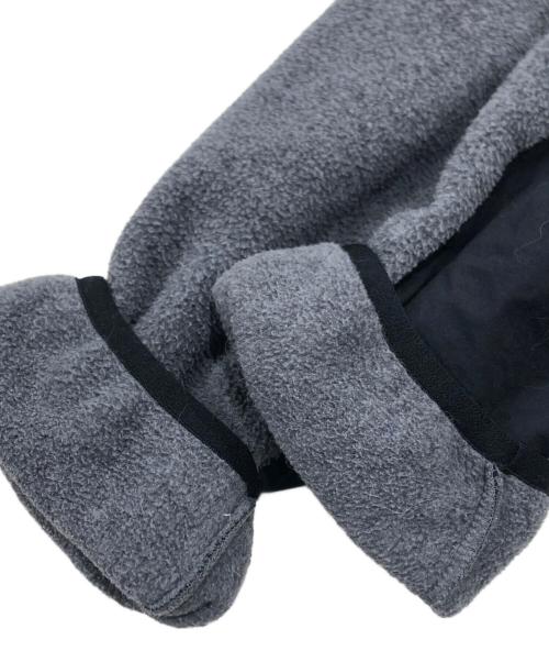 THE NORTH FACE0（ザ ノース フェイス）THE NORTH FACE0 (ザ ノース フェイス) デナリフーディ/フリースジャケット グレー サイズ:Ｌの古着・服飾アイテム
