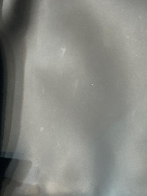 GASTON LUGA（ガストンルーガ）GASTON LUGA (ガストンルーガ) デイパック ブラックの古着・服飾アイテム