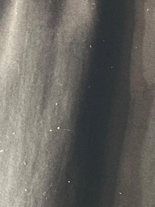 Patagonia（パタゴニア）Patagonia (パタゴニア) バギーズロング7インチパンツ ブラック サイズ:Sの古着・服飾アイテム