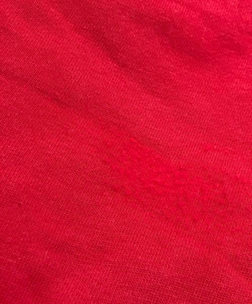 DOG TOWN（ドッグ タウン）DOG TOWN (ドッグ タウン) スウェット レッド サイズ:ｻｲｽﾞ不明の古着・服飾アイテム