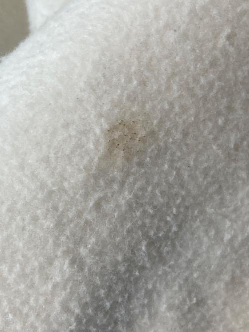 Snidel（スナイデル）Snidel (スナイデル) PONCHO COAT アイボリー サイズ:FREEの古着・服飾アイテム