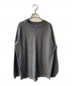 THE NORTH FACEザ ノース フェイス）の古着「Thermal Field Long Sleeve Tee」｜グレー