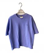 LACOSTE×BEAUTY&YOUTHラコステ×ビューティーアンドユース）の古着「別注 EXCLUSIVE EDIRION 1 TONE Tee」｜ブルー