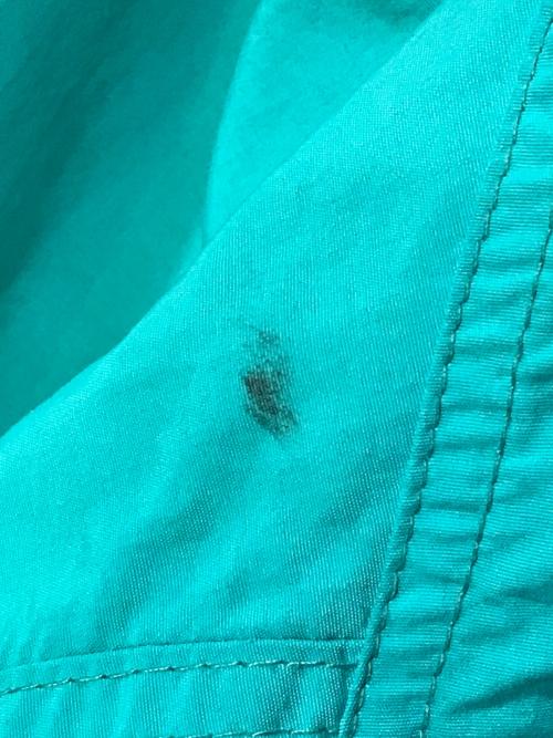 Eddie Bauer（エディーバウアー）Eddie Bauer (エディーバウアー) ジャケット ターコイズ サイズ:Lの古着・服飾アイテム