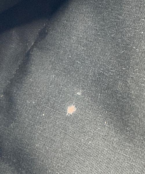 COACH（コーチ）COACH (コーチ) デイパック グレーの古着・服飾アイテム