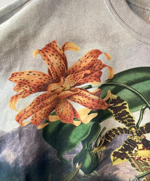 DRIES VAN NOTEN（ドリスヴァンノッテン）DRIES VAN NOTEN (ドリスヴァンノッテン) プリントスウェットシャツ グレー サイズ:Mの古着・服飾アイテム