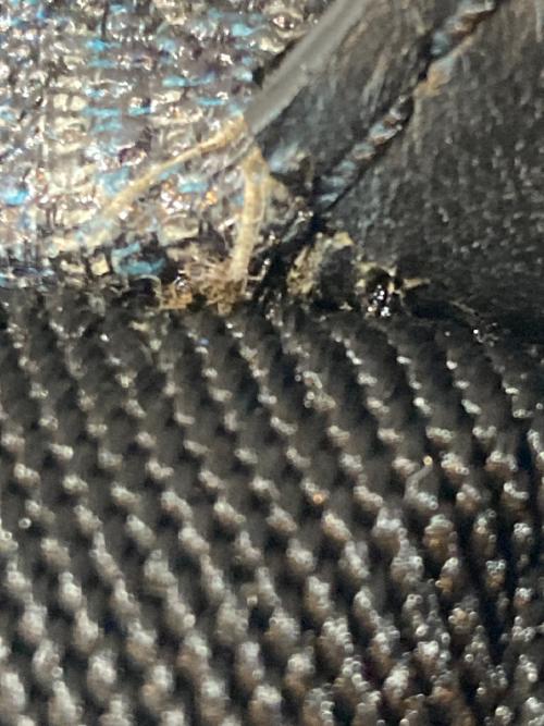 ETRO（エトロ）ETRO (エトロ) ペイズリー柄リュック ネイビーの古着・服飾アイテム