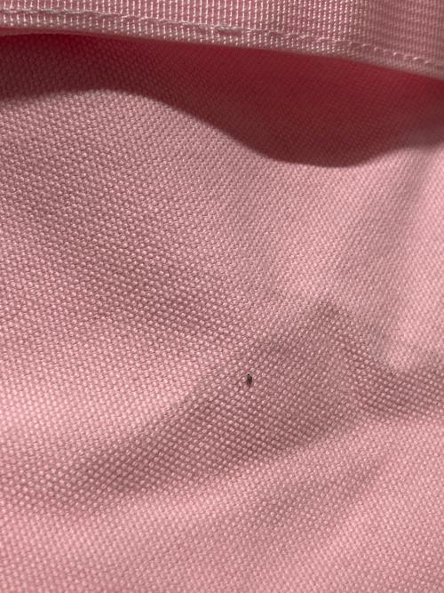 SUPREME（シュプリーム）Supreme (シュプリーム) Duffle Bag Light Pinkの古着・服飾アイテム