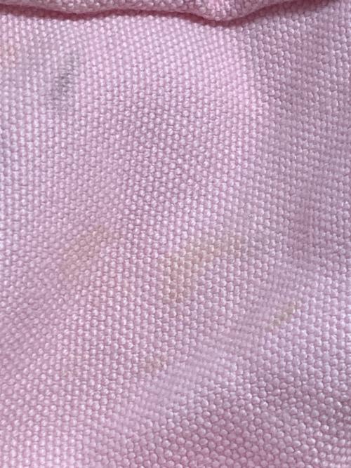 SUPREME（シュプリーム）Supreme (シュプリーム) Duffle Bag Light Pinkの古着・服飾アイテム