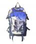 THE NORTH FACE（ザ ノース フェイス）の古着「MOUNTAIN EXPEDITION BACKPACK」