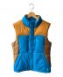 THE NORTH FACE（ザ ノース フェイス）の古着「ダウンベスト」｜ブラウン×ブルー