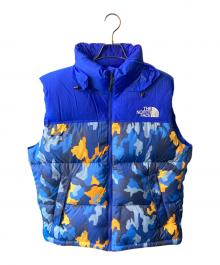 THE NORTH FACE（ザ ノース フェイス）の古着「ダウンベスト」｜ブルー
