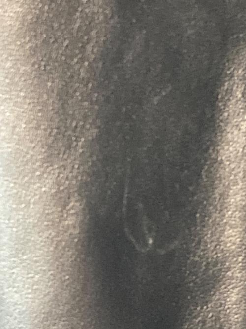 skookum（スクーカム）SKOOKUM (スクーカム) JOURNAL STANDARD relume (ジャーナルスタンダード レリューム) 別注 シープレザー ジップジャケット ブラック サイズ:Lの古着・服飾アイテム