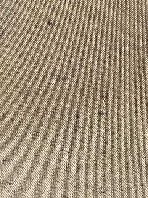 ARC'TERYX（アークテリクス）ARC'TERYX (アークテリクス) APB03 ASSAULT PACKの古着・服飾アイテム