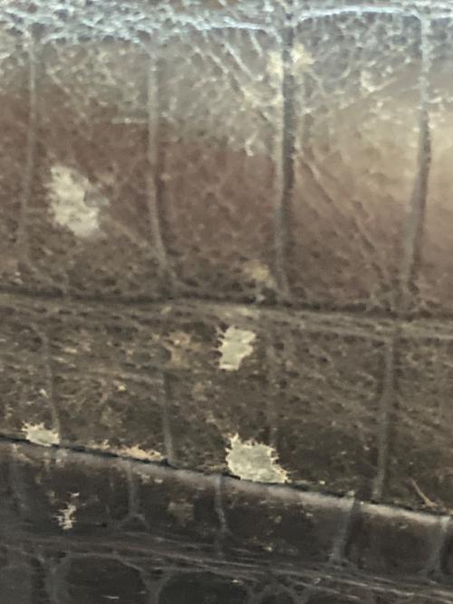 Felisi（フェリージ）Felisi (フェリージ) トートバッグ グリーンの古着・服飾アイテム