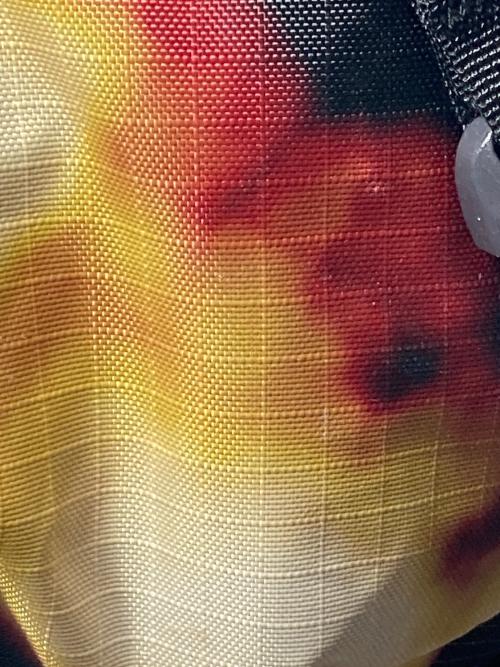 GREGORY（グレゴリー）GREGORY (グレゴリー) リュックの古着・服飾アイテム