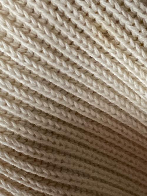 AURALEE（オーラリー）AURALEE (オーラリー) SUPER HARD TWIST RIB KNIT V-NECK PO ベージュ サイズ:1の古着・服飾アイテム