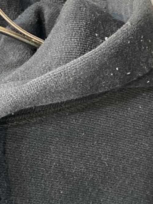 CAMBER（キャンバー）CAMBER (キャンバー) BEDWIN &THE HEARTBREAKERS (ベドウィンアンドザ ハートブレイカーズ) パーカー ブラック サイズ:表記なしの古着・服飾アイテム