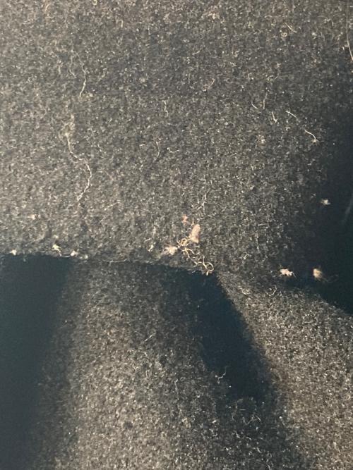 BEAMS BOY（ビームスボーイ）BEAMS BOY (ビームスボーイ) ポリエステル メルトン デタッチ フード コート ブラック サイズ:FREEの古着・服飾アイテム