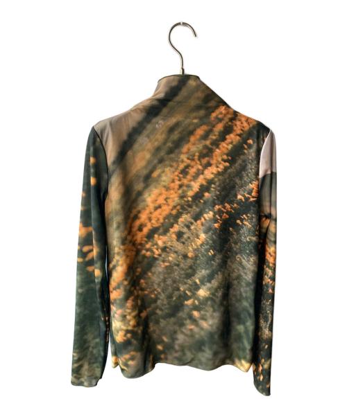 Ameri（アメリ）AMERI (アメリ) CAMILA SHEER CUT TOP グリーン サイズ:FREEの古着・服飾アイテム