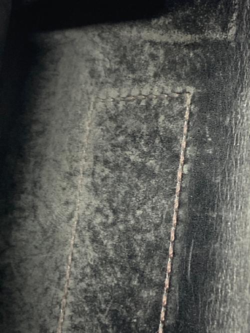 WILDSWANS（ワイルドスワンズ）WILDSWANS (ワイルドスワンズ) SADDLE PULL UPの古着・服飾アイテム