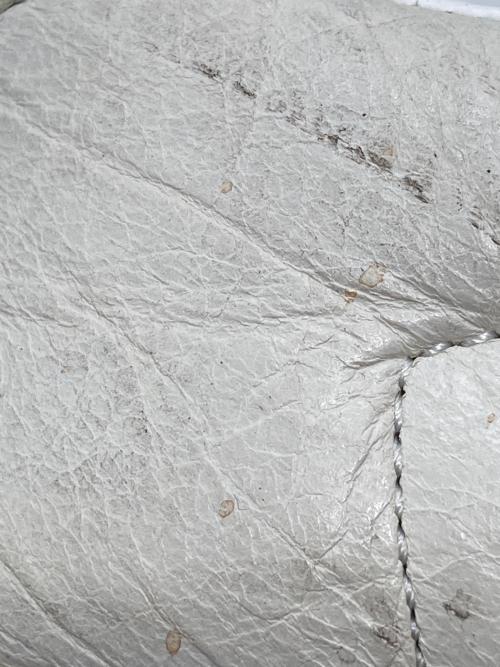 BALENCIAGA（バレンシアガ）BALENCIAGA (バレンシアガ) Arena Low ホワイト サイズ:39の古着・服飾アイテム