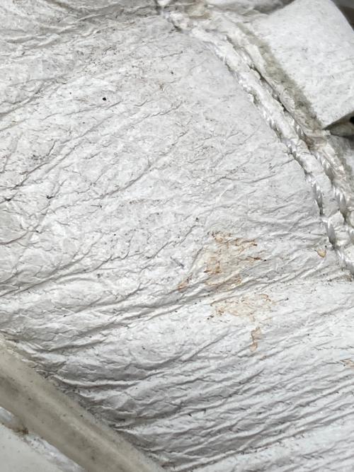 BALENCIAGA（バレンシアガ）BALENCIAGA (バレンシアガ) Arena Low ホワイト サイズ:39の古着・服飾アイテム