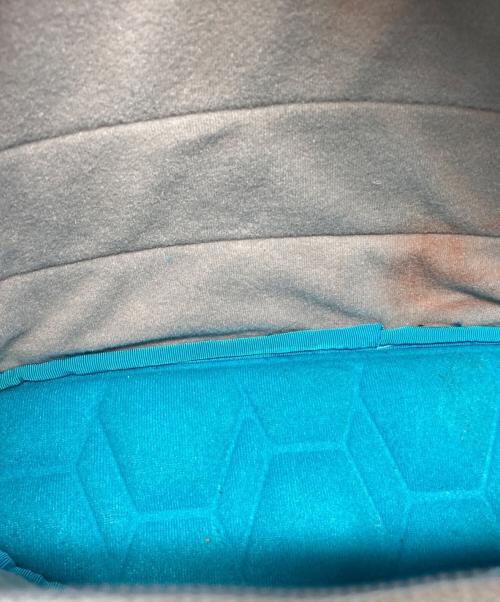 THULE（スーリー）THULE (スーリー) カメラバッグ グレーの古着・服飾アイテム