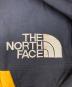中古・古着 THE NORTH FACE (ザ ノース フェイス) MOUNTAIN GUIDE JACKET マウンテンジャケット イエロー サイズ:L：10000円