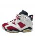 NIKE (ナイキ) Air Jordan 6 