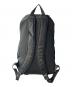 OAKLEY (オークリー) ESSENTIAL DAY PACK M 9.0 ブラック：6000円