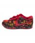 NIKE SB (ナイキエスビー) DUNK LOW PRO WOO Q ローカットスニーカー レッド サイズ:26.5㎝：10000円