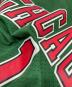 中古・古着 MITCHELL & NESS (ミッチェルアンドネス) 2008-09 Chicago Bulls ゲームシャツ グリーン サイズ:L：7000円