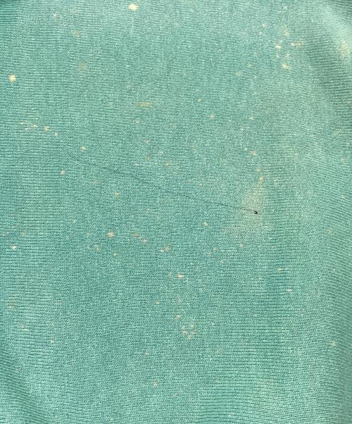 Champion REVERSE WEAVE（チャンピオン リバース ウィーブ）Champion REVERSE WEAVE (チャンピオン リバース ウィーブ) クルーネックスウェット ブルー サイズ:Lの古着・服飾アイテム
