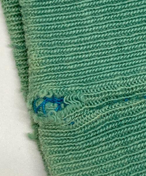 Champion REVERSE WEAVE（チャンピオン リバース ウィーブ）Champion REVERSE WEAVE (チャンピオン リバース ウィーブ) クルーネックスウェット ブルー サイズ:Lの古着・服飾アイテム