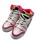 NIKE SB（ナイキエスビー）の古着「Dunk High PRO QS 