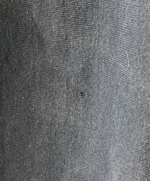 Champion REVERSE WEAVE（チャンピオン リバース ウィーブ）Champion REVERSE WEAVE (チャンピオン リバース ウィーブ) 90sカレッジロゴスウェット ネイビー サイズ:XLの古着・服飾アイテム