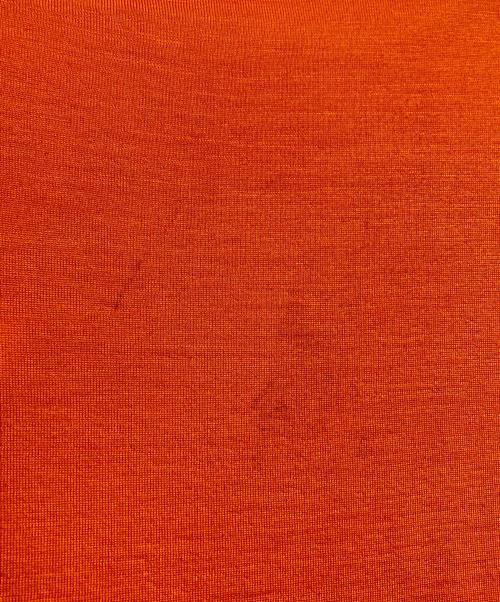 TOHNAI（トーナイ）TOHNAI (トーナイ) 半袖ニット オレンジ サイズ:2の古着・服飾アイテム