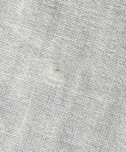 KENZO（ケンゾー）KENZO (ケンゾー) ルーズフィットセーラーハーフパンツ ブルー サイズ:31の古着・服飾アイテム