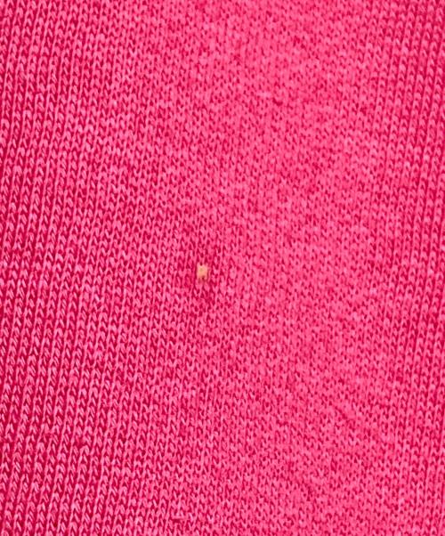 CELINE（セリーヌ）CELINE (セリーヌ) バイカラースウェット ピンク×イエロー サイズ:Sの古着・服飾アイテム