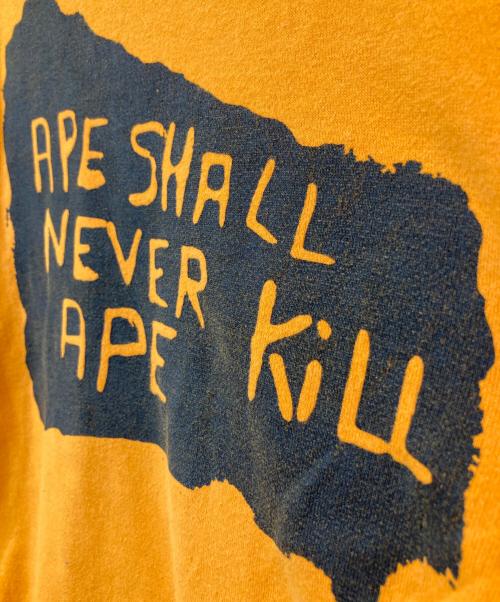 A BATHING APE（ア ベイシング エイプ）A BATHING APE (ア ベイシング エイプ) ダブルフェイスカットソー ブラック×オレンジ サイズ:表示がないため不明の古着・服飾アイテム