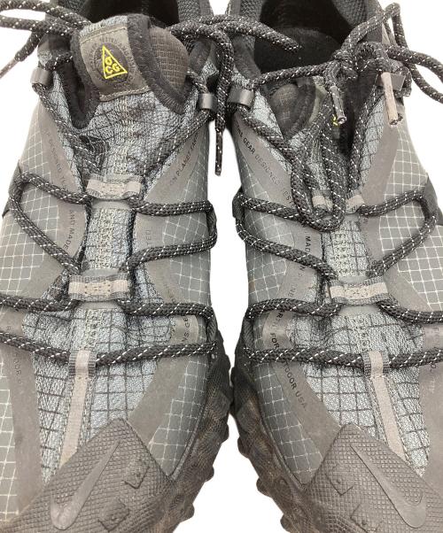 NIKE ACG（ナイキエーシージー）NIKE ACG (ナイキエージーシー) MOUNTAIN FLY LOW GTX ブラック サイズ:29cmの古着・服飾アイテム