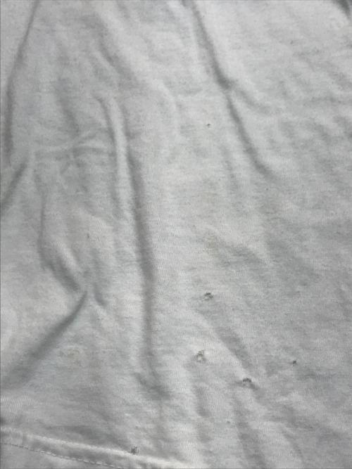 POLO SPORT（ポロスポーツ）POLO SPORT (ポロスポーツ) ポロベアTシャツ ホワイト サイズ:xxLの古着・服飾アイテム