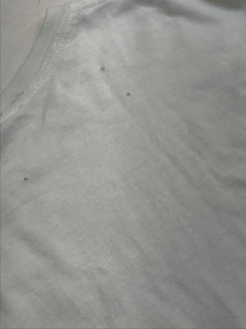 POLO SPORT（ポロスポーツ）POLO SPORT (ポロスポーツ) ポロベアTシャツ ホワイト サイズ:xxLの古着・服飾アイテム