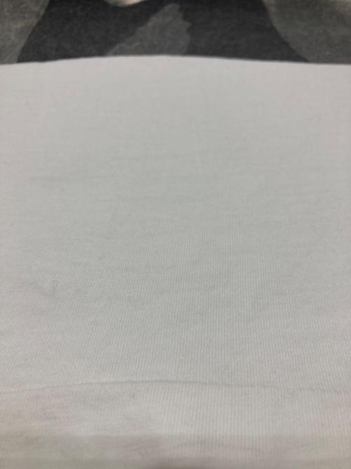 no problem（ノープロブレム）no problem (ノープロブレム) フォトプリントTシャツ ホワイト サイズ:不明の古着・服飾アイテム