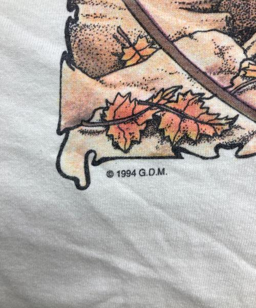 FRUIT OF THE LOOM（フルーツオブザルーム）FRUIT OF THE LOOM (フルーツオブザルーム) バンドTシャツ ホワイト サイズ:Lの古着・服飾アイテム