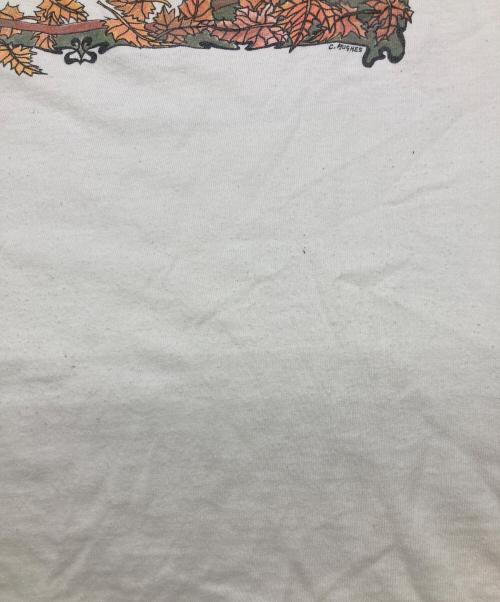 FRUIT OF THE LOOM（フルーツオブザルーム）FRUIT OF THE LOOM (フルーツオブザルーム) バンドTシャツ ホワイト サイズ:Lの古着・服飾アイテム