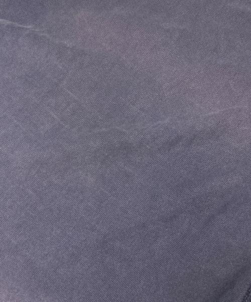 Champion（チャンピオン）Champion (チャンピオン) リバースウィーブスウェット ネイビー サイズ:Lの古着・服飾アイテム