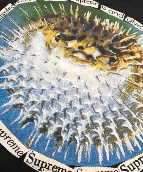 SUPREME（シュプリーム）Supreme (シュプリーム) Blowfish Tee ブラック サイズ:Ｍの古着・服飾アイテム