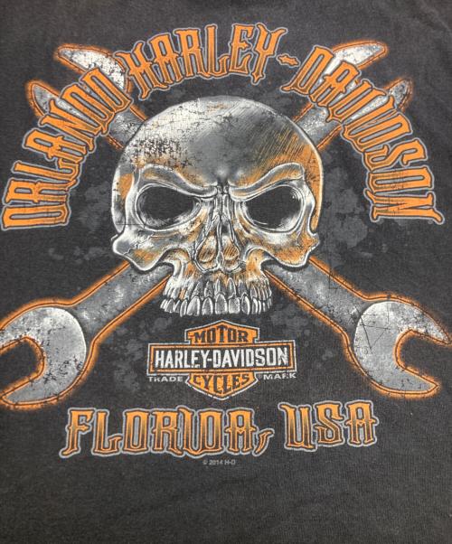 HARLEY-DAVIDSON（ハーレーダビッドソン）HARLEY-DAVIDSON (ハーレーダビッドソン) 両面スカルプリントTシャツ ブラック サイズ:2XLの古着・服飾アイテム